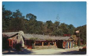 River Inn Lodge Big Sur River California postcard