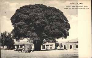 Mitla Oaxaca Mexico MX Hotel and City Hall c1910 Vintage Postcard