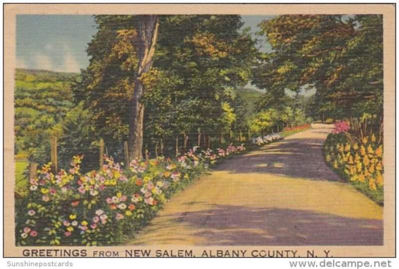 New York Greetings From New Salem Albany County 1943