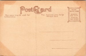 Vtg 1910s State Normal School Buffalo New York NY Postcard