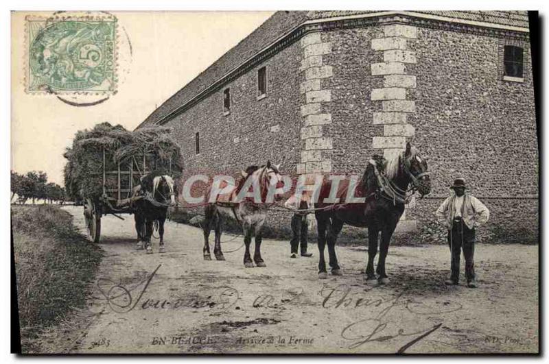 Vintage Postcard Folklore Peasants In Beauce Arrivee has the