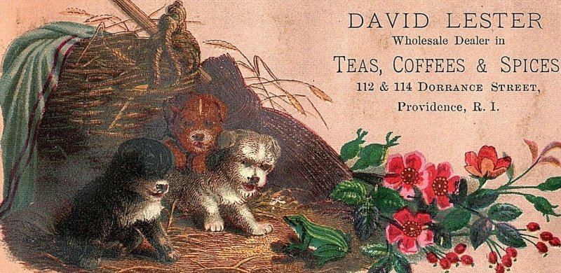 Lot of 5 David Lester Teas Coffee Cats Dogs Victorian Trade Card P121