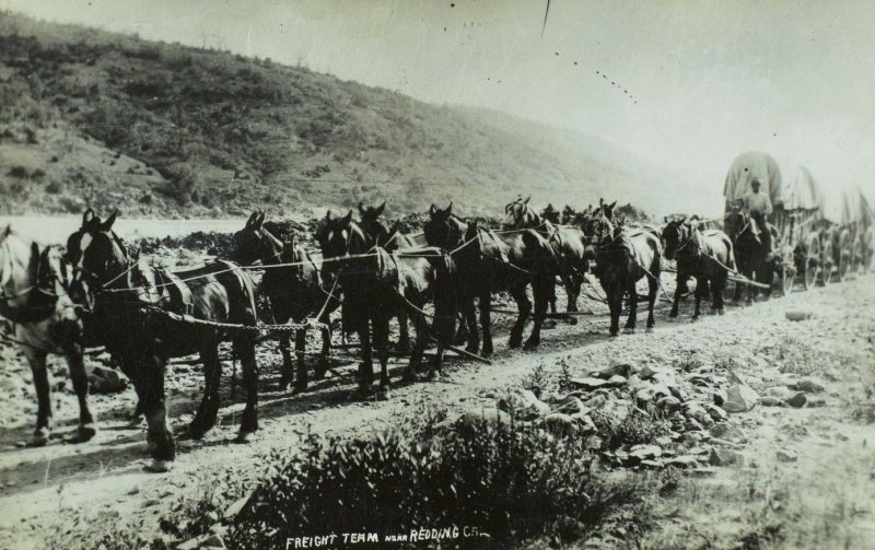 RPPC Freighting Team Near Redding, Ca. Vintage Postcard F71