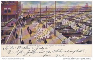 Illinois Chicago Commercial Avenue Union Stock Yards 1906