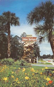 Entrance to Silver Springs - Silver Springs, Florida FL  