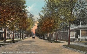 MEADVILLE, PA Pennsylvania  PARK AVENUE~North HOMES Crawford Co c1910's Postcard