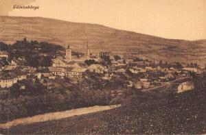 Golniczbanya Hungary Birds Eye View Antique Postcard J64022