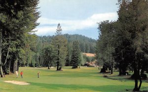 Santa Cruz Co BOULDER CREEK COUNTRY CLUB Golf Course 1950s Rare Vintage Postcard