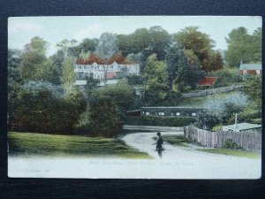 Hampshire NEW FOREST Miss Braddons Home at Bank c1905 Postcard by F.G.O. Stuart