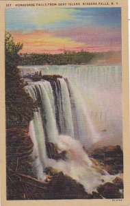 New York Niagara Falls Horseshoe Falls From Goat Island Artvue 1947