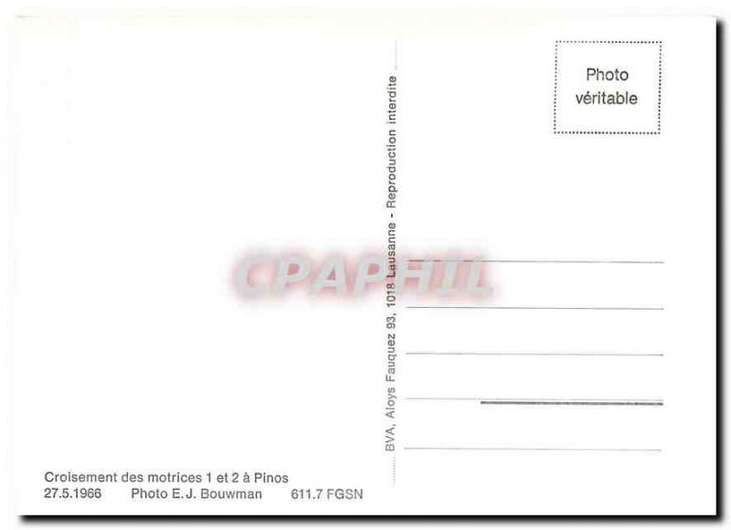 Modern Postcard Crossing motor has Pinos