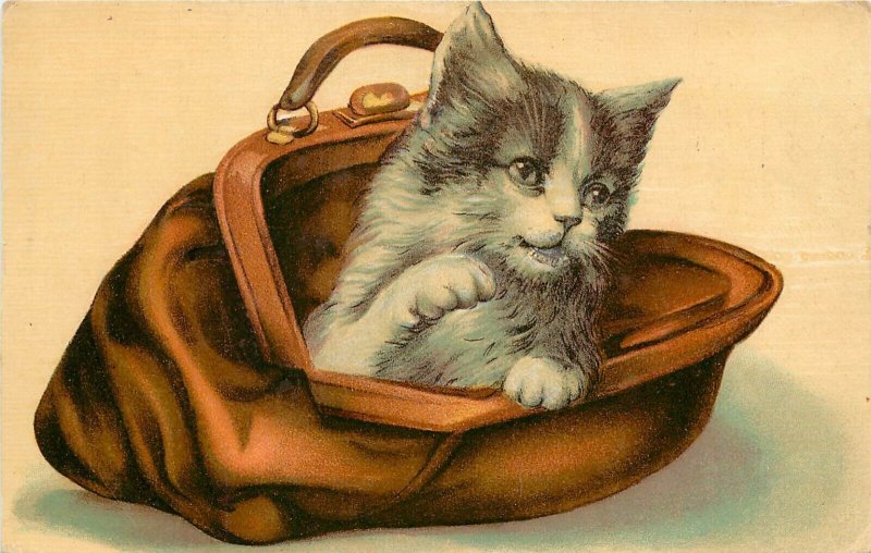 Embossed Cat Postcard; Gray & White Kitten in Valise / Doctor's Bag, Unposted