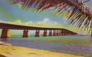 Florida Key West View Of Overseas Highway