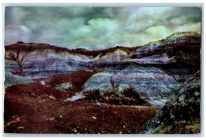 1950 Blue Mesa Petrified Forest Arizona Land Stripes Sediments Petley Postcard