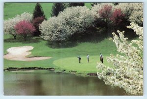 OGLEBAY, Wheeling WV ~13th Green SPEDEL CHAMPIONSHIP GOLF COURSE 4x6 Postcard