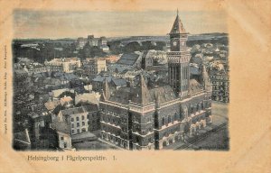 HELSINGBORG SWEDEN~FAGELPERSPEKTIV-BIRDS EYE VIEW~1900s TINTED PHOTO POSTCARD