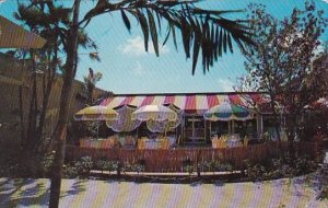 Florida Fort Lauderdale Haley's Tropical Patio Restaurant In Sunrise Cen...