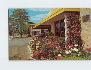 Postcard Golden Link Lodge, St. Joseph, Michigan