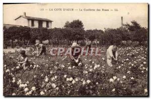 Old Postcard picking roses Cote d & # 39Azur