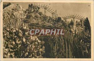 Old Postcard Monaco - Exotic Gardens