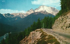 Vintage Postcard Mount Rainier Yakima Park Highway National Park in Washington
