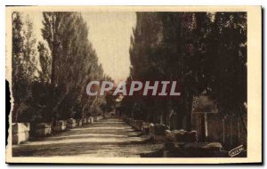 Old Postcard Arles sur Rhone Les Alyscamps Allee Tombs