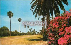 Old Postcard Greetings from The Lower Rio Grande Valley of Texas The Land of ...