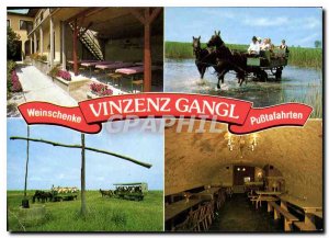 Postcard Modern Weinschenke Vinzenz Gangl Illmitz Burgenland Austria