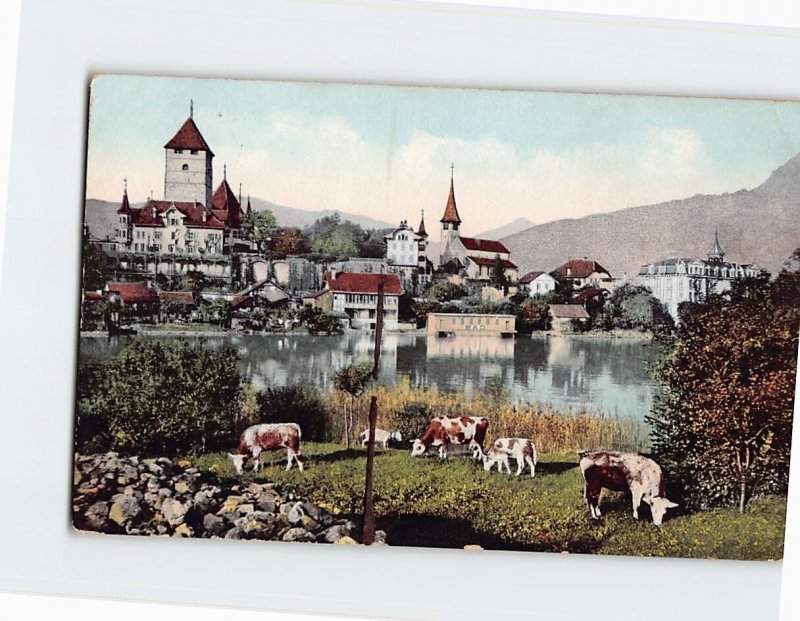 Postcard Spiez am Thunersee Spiez Switzerland