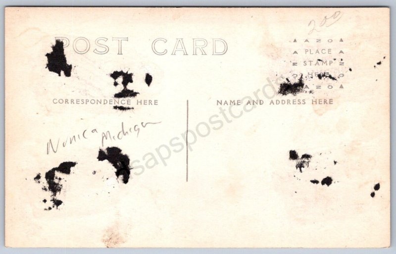 K45/ Nunica Michigan RPPC Postcard c1910 Davison Hardware Store 337