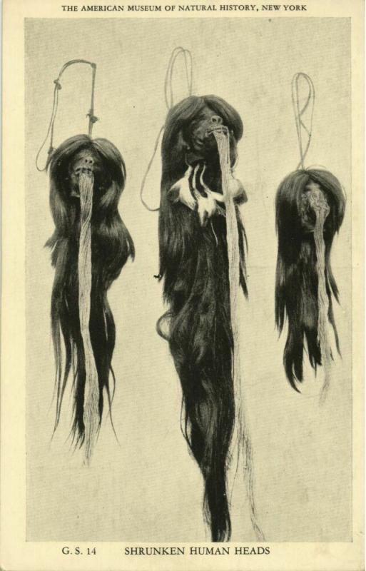 Shrunken Heads of Jivaro Indians, Upper Amazon River Ecuador (1930s) Postcard