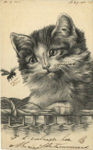 PC CPA CATS, CAT WATCHING A FLY, Vintage Postcard (b27047)