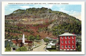 Pinnacle Mountain Cumberland Gap Tennessee Roadway Buildings Landmarks Postcard