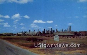 Celanese Plant - Bishop, Texas