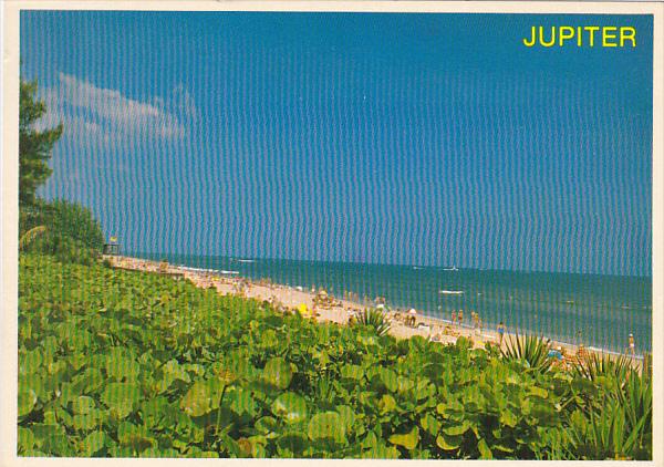 Beach Scene Jupiter Florida