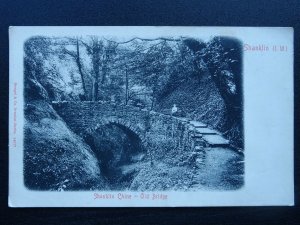 Isle of Wight SHANKLIN CHINE Old Bridge c1902 UB Postcard by Stengel & Co. 14577