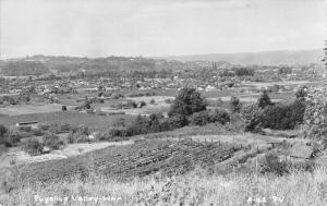 Puyallup Washington~Birdseye Farm Valley~City Panorama~1940s Real Photo~RPPC 