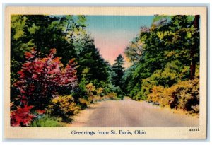 1943 Greetings From St. Paris Ohio OH, Road And Trees View Vintage Postcard