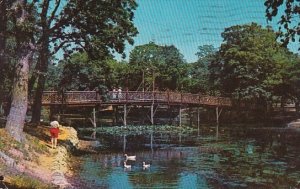 Spring Lake New Jersey Feeding Ducks By Rustic Foot Bridge 1973