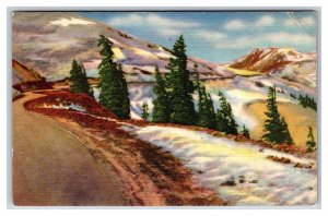 Timberline in Rocky Mountains Colorado CO  Linen Postcard S8