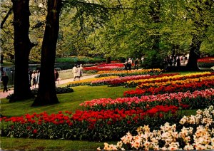 Netherlands Holland In Flower Decoration