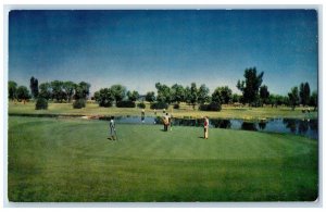 c1960 18-Hole Green Golf San Marcos Hotel Bungalows Chandler Arizona AZ Postcard