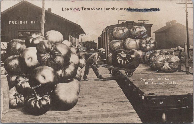 RPPC Postcard Exaggeration Loading Tomatoes