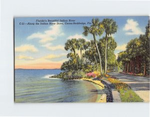 Postcard Florida's Beautiful Indian River, Along the Indian River Drive, Florida