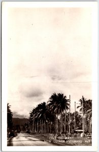 Military Highway Lined with Coconut Trees - New Guinea - Vintage Postcard