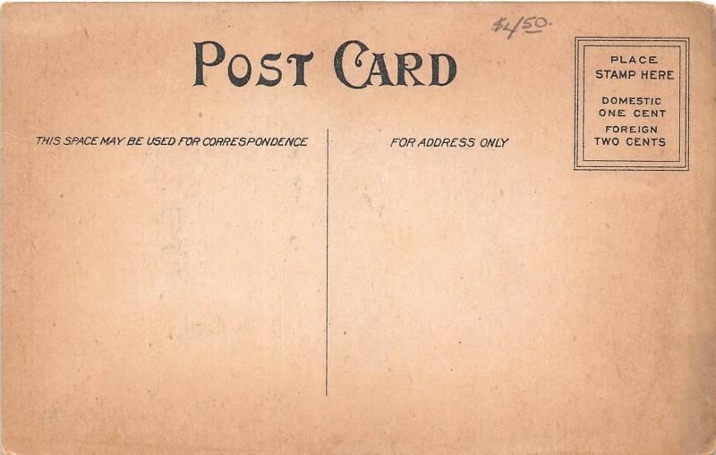 Michigan MI Postcard STANTON c1910 CAMBURN Avenue Looking South