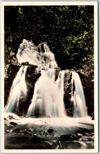 Forsakar Degeberga Skane Sweden Waterfalls Nature Reserve Postcard