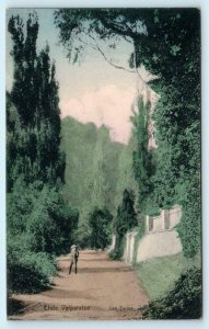 VALPARAISO, CHILE ~ Handcolored LAS ZORRAS 1924 South America Postcard