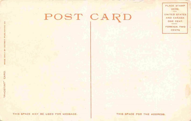 Steamer City of Mackinac Michigan 1910c Phostint postcard