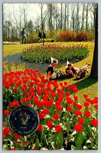 Holland Scent of the Flower Fields  Scratch and Sniff Unused   Postcard